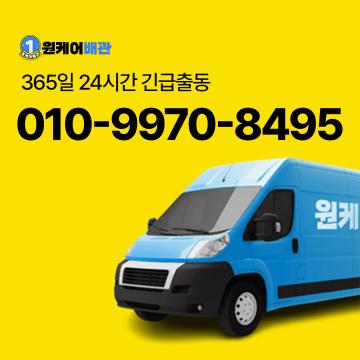 레몬은 작은 과일이지만, 그 안에 놀라운 건강 효능이 가득합니다.