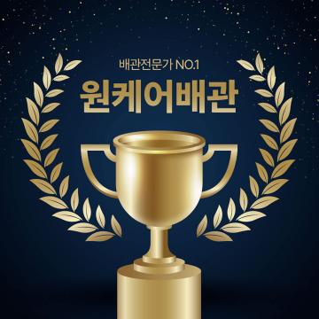 2. 피부 건강 개선 항산화 성분인 플라보노이드와 비타민 C는 피부 탄력을 유지하고, 기미·잡티 완화에도 도움을 줍니다. 특히 콜라겐 생성을 촉진해 주름 개선에도 좋습니다.